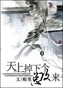 天上掉下个总攻来TXT全集封面