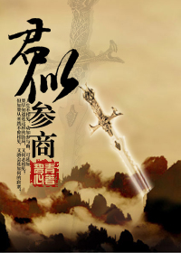 君似参商TXT全集封面