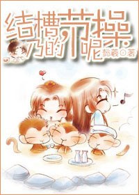 结槽,乃的节操呢TXT全集封面