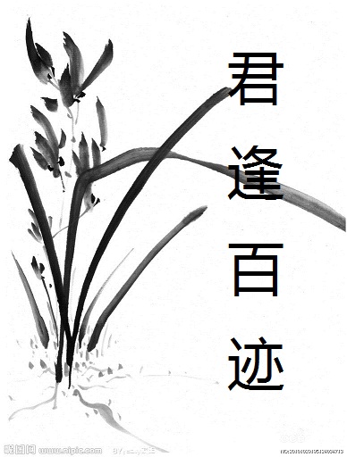 君逢百迹TXT全集封面