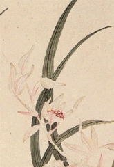 软香TXT全集封面