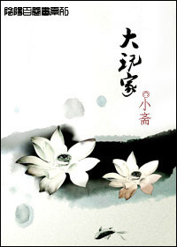 大玩家TXT全集封面