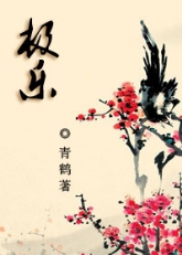 极乐TXT全集封面