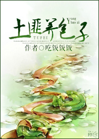 土匪养包子TXT全集封面