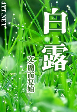 白露TXT全集封面