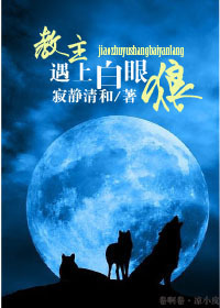 教主遇上白眼狼TXT全集封面