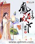 凤临城下TXT全集封面