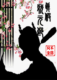 真假状元郎TXT全集封面