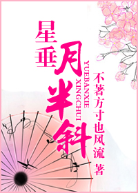 星垂月半斜TXT全集封面