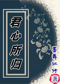 君心所归TXT全集封面