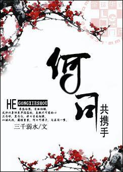 何日共携手TXT全集封面