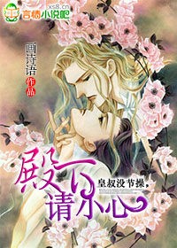 皇叔没节操,殿下请小心TXT全集封面