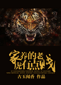 家养的老虎有点贱TXT全集封面