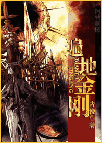 遍地金刚+番外TXT全集封面