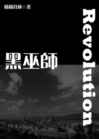 黑巫师:圣域TXT全集封面