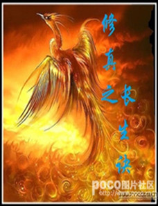 修真之长生诀TXT全集封面