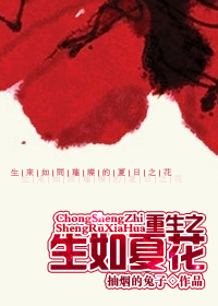 重生之生如夏花TXT全集封面