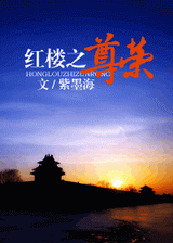 红楼之尊荣TXT全集封面