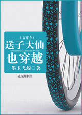 送子大仙也穿越(古穿今)TXT全集封面