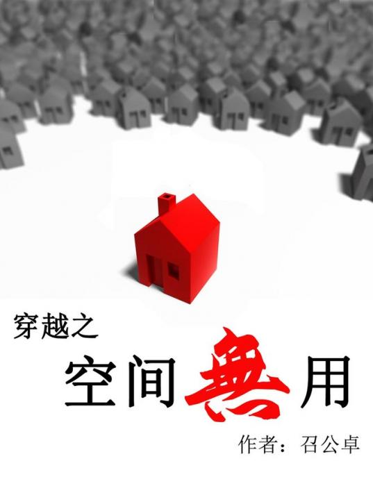 穿越之空间无用TXT全集封面