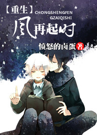 重生之风再起时TXT全集封面