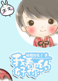 我看好你哟TXT全集封面