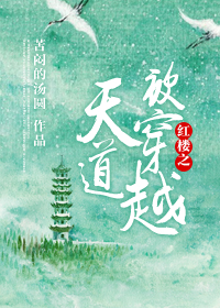 红楼之天道被穿越TXT全集封面