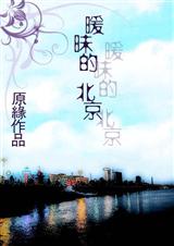 暧昧的北京TXT全集封面