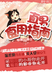 直男食用指南TXT全集封面