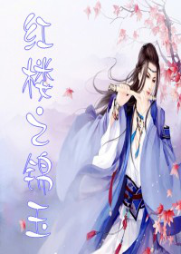 红楼之锦玉TXT全集封面