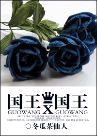 国王x国王TXT全集封面