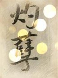 灼孽TXT全集封面