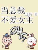 当总裁不爱女主TXT全集封面