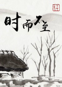 时而不至TXT全集封面