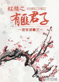 红楼之有匪君子TXT全集封面