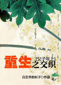 重生之交织TXT全集封面