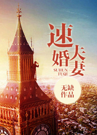 速婚夫妻TXT全集封面