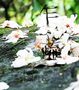 乍疏TXT全集封面