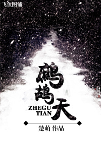 鹧鸪天TXT全集封面