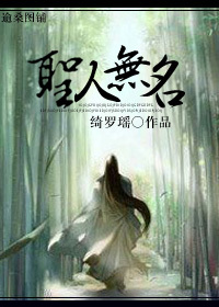 圣人无名TXT全集封面
