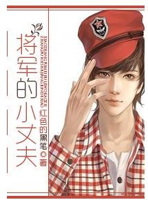将军的小丈夫TXT全集封面