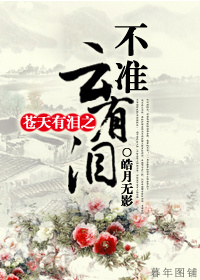 苍天有泪之不准云有泪TXT全集封面