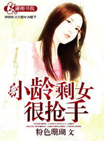 小龄剩女很抢手TXT全集封面