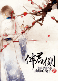 伴君侧TXT全集封面