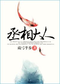 丞相大人TXT全集封面