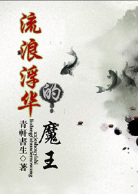 流浪浮华的魔王TXT全集封面