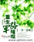重生军路璀璨TXT全集封面