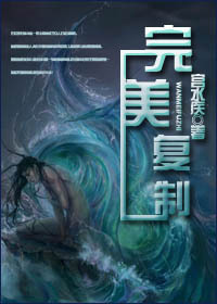 完美复制TXT全集封面