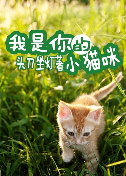 我是你的小猫咪TXT全集封面